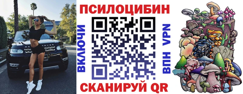 Псилоцибиновые грибы Psilocybine cubensis Купить закладки Альметьевск
