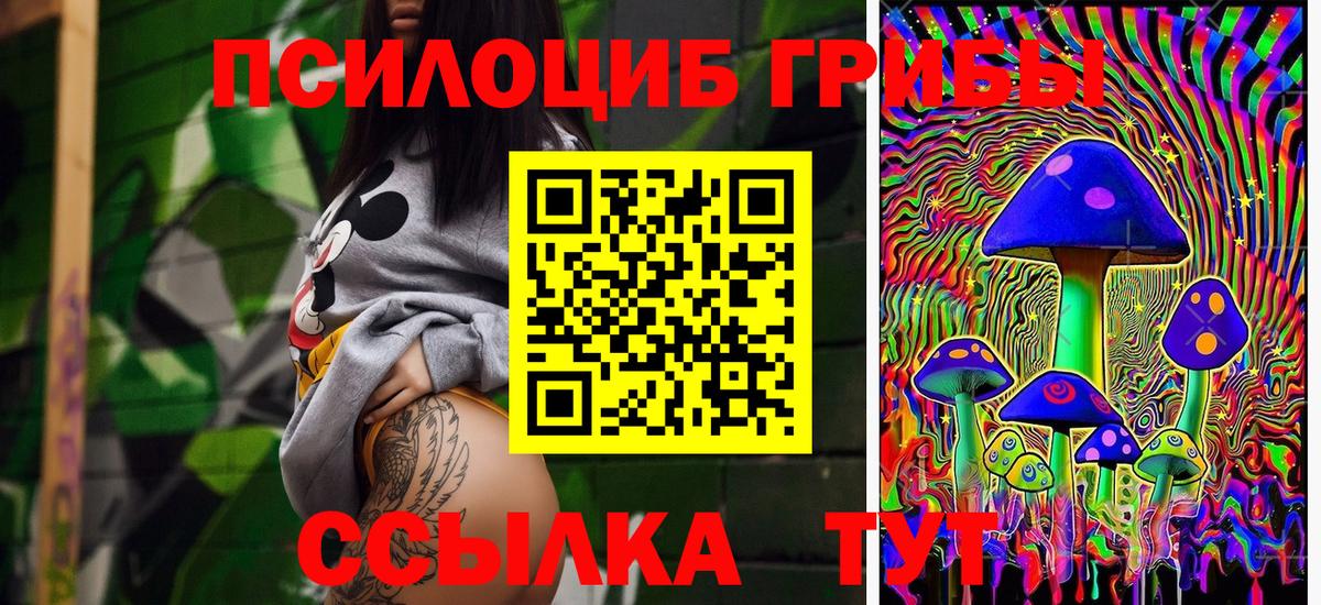 Галлюциногенные грибы Psilocybine cubensis Альметьевск